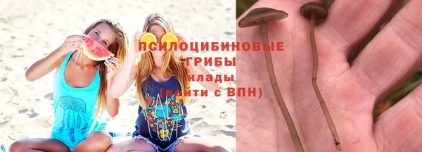 стафф Ельня