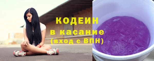 стафф Ельня