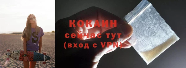 стафф Ельня