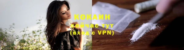 стафф Ельня