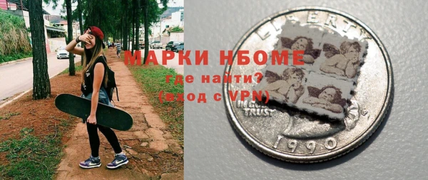 стафф Ельня