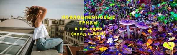 стафф Ельня