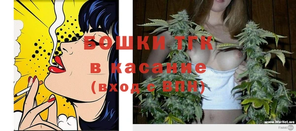 стафф Ельня