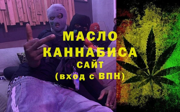 стафф Ельня
