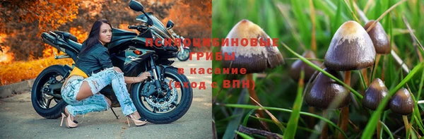 jwh Елабуга