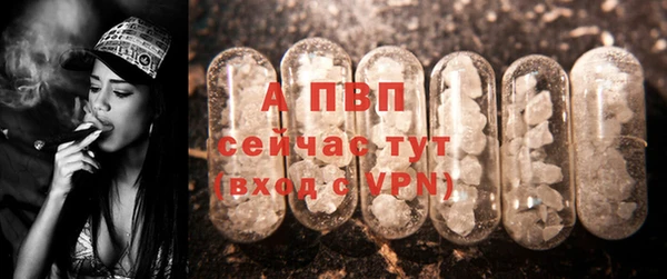 стафф Ельня