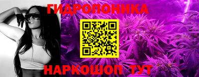 гидра Абакан