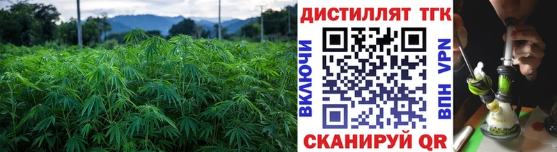 Дистиллят ТГК Wax  как найти   Альметьевск 