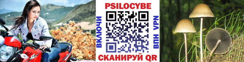 закладка  Альметьевск  Псилоцибиновые грибы Cubensis 