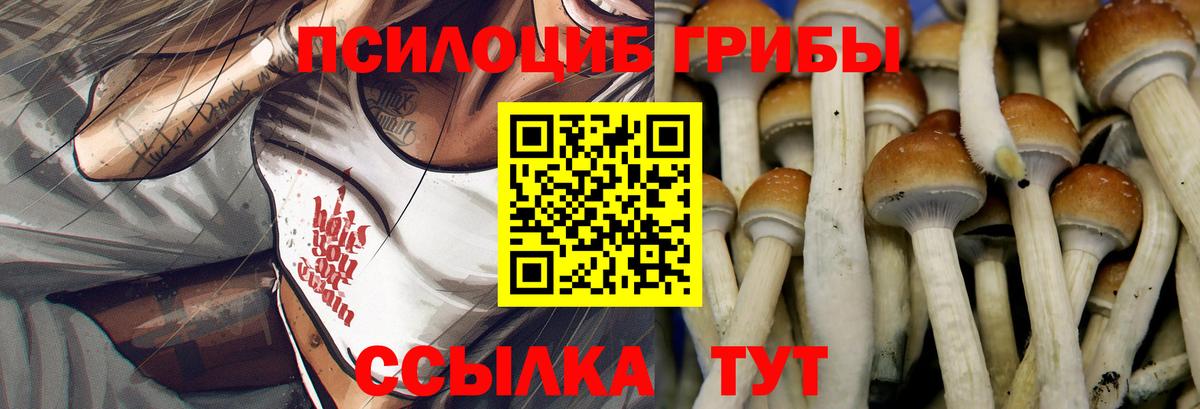 Альметьевск  Галлюциногенные грибы MAGIC MUSHROOMS  Вход с VPN  Псилоцибиновые грибы Psilocybe 
