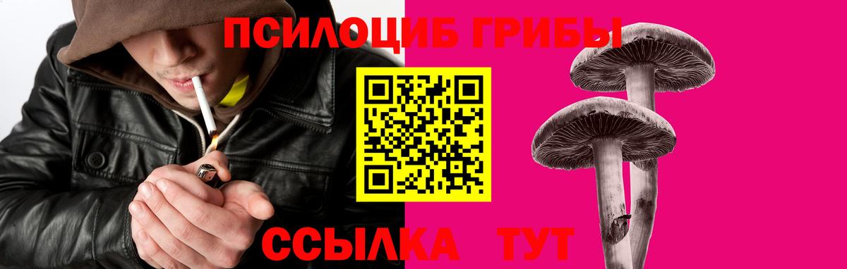 Псилоцибиновые грибы Cubensis Альметьевск